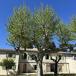 Bed & Breakfast D'hotes Vidal